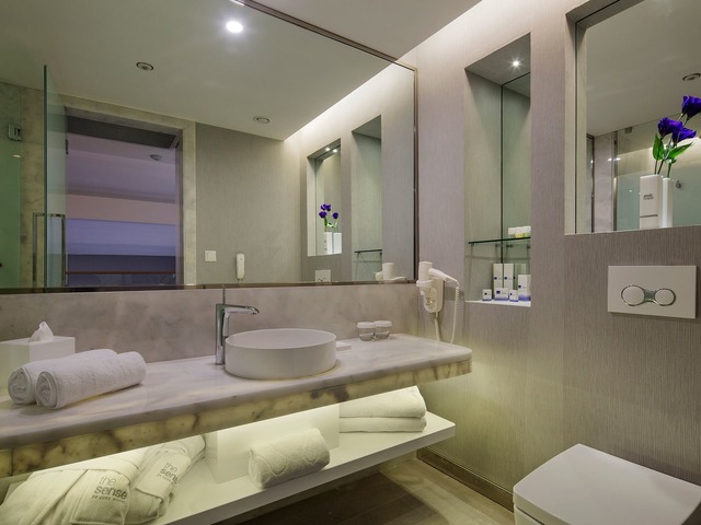 фотографии отеля Emir The Sense De Luxe (ex. Emirhan Resort Hotel & Spa) изображение №3