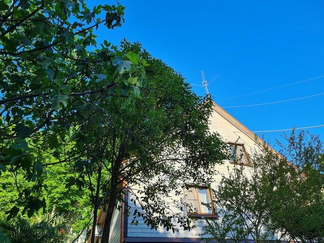 фотографии Оранжевое Солнце (Orange Sun) изображение №52