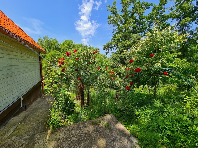 фотографии Оранжевое Солнце (Orange Sun) изображение №48