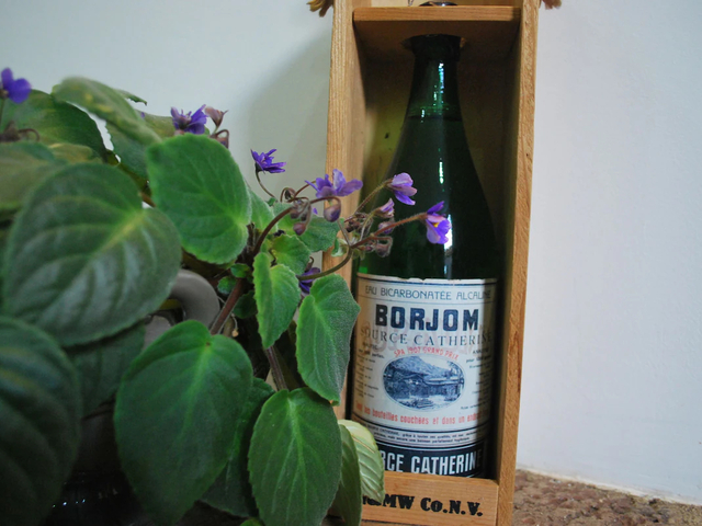 фотографии отеля Old Borjomi (Старый Боржоми) изображение №23