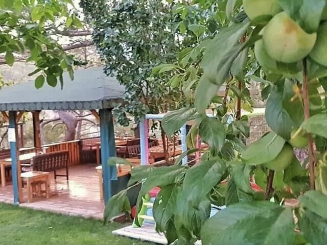 фото Yenivadi изображение №6