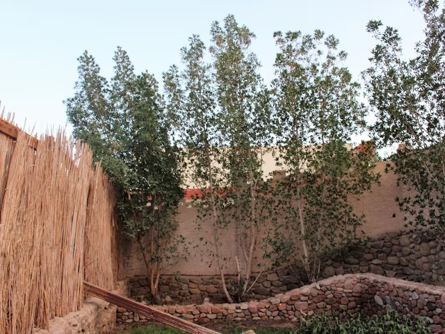 фото Sinai Old Spices B&B изображение №34