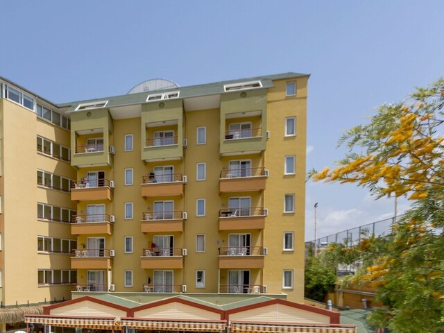 фото Magnolia изображение №14