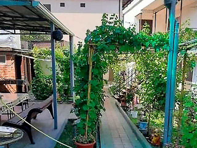 Горящие туры в Геленджик, Россия