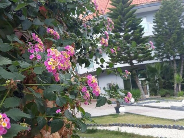 фотографии отеля Club Jovia (ex. Armir Resort; Kemer MIllenium Resort) изображение №55