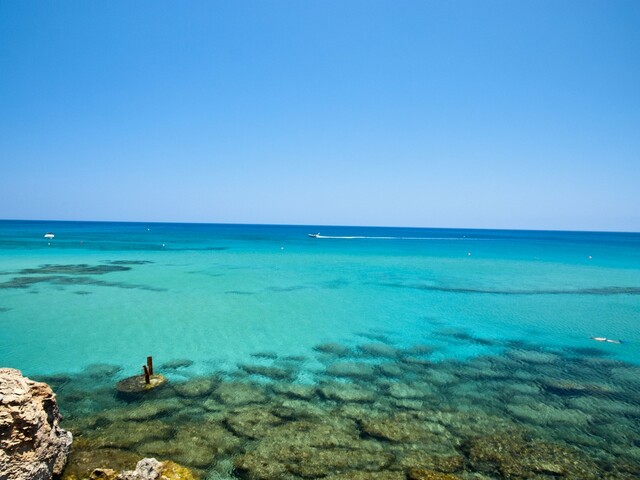 фото Konnos Bay Gardens изображение №2