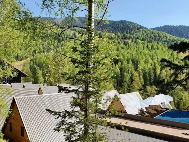 фото отеля Поляна (Polyana) изображение №37