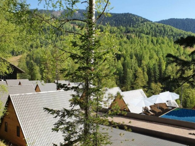 фото Поляна (Polyana) изображение №26