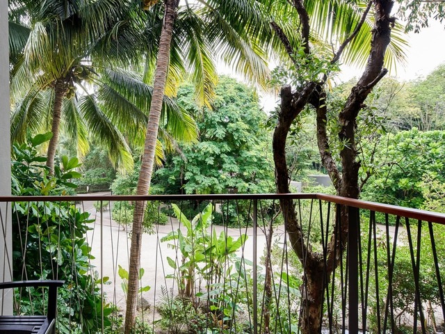 фотографии Renaissance Phuket Resort & Spa изображение №12