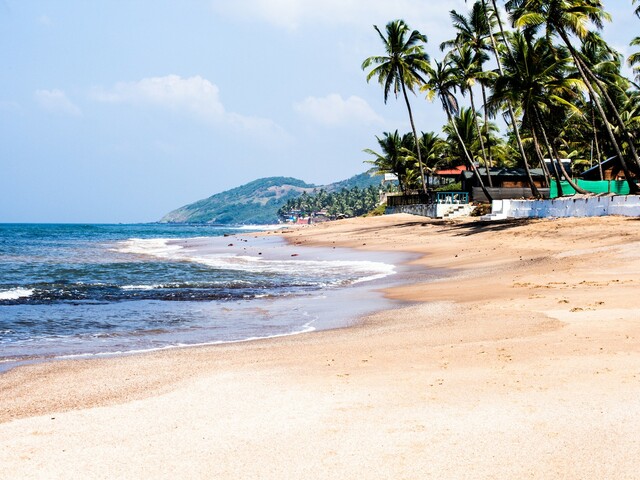 фотографии отеля Bella Vista Candolim изображение №3
