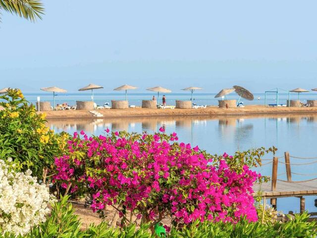 фото Movenpick Resort & Spa El Gouna изображение №18