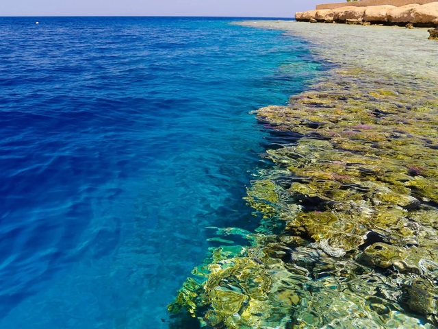 фотографии EVC Sharm Club Beach Resort (ex. Labranda Tower Bay; Sharm Club) изображение №92