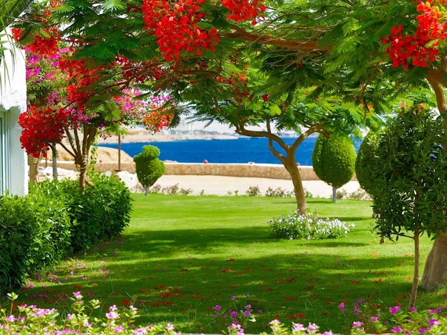 фотографии EVC Sharm Club Beach Resort (ex. Labranda Tower Bay; Sharm Club) изображение №80