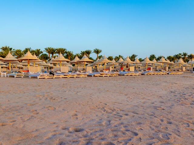 фотографии отеля Red Sea Grand Resort  изображение №67