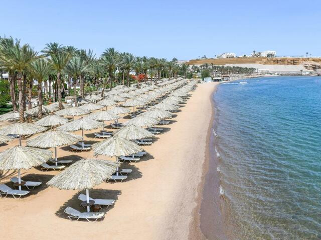 фотографии отеля Iberotel Palace - Adults only изображение №39