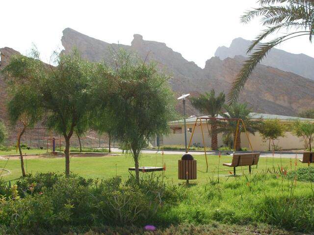 фотографии Green Mubazzarah Chalets изображение №32