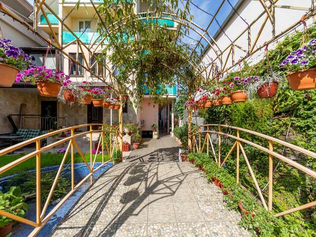 фото Пальма (Palma) изображение №10