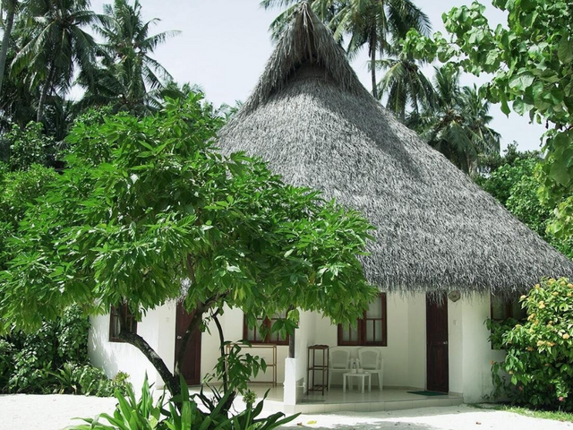 фотографии отеля Fihalhohi Island Resort изображение №7