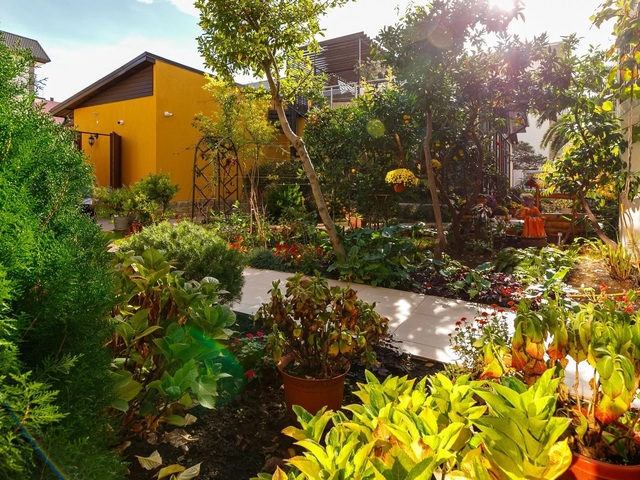 фото Ева (Eva) изображение №70