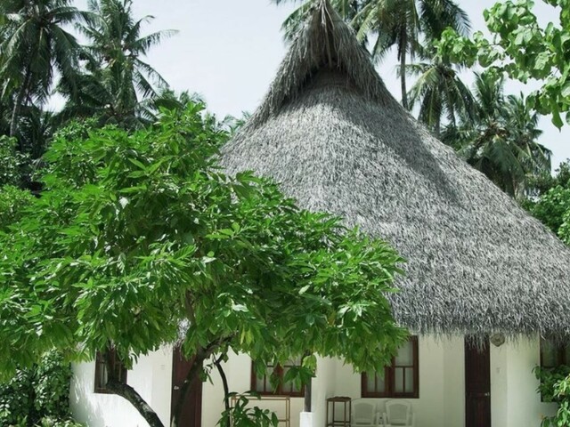 фото Fihalhohi Maldives (ex. Fihalhohi Island Resort) изображение №26