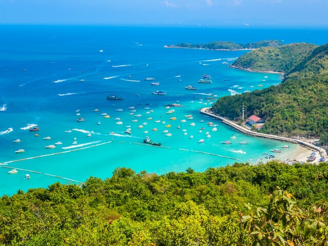 фото отеля Paradise Park - Room Number 520 изображение №5