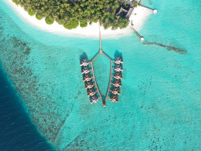 фото отеля Fihalhohi Maldives (ex. Fihalhohi Island Resort) изображение №17