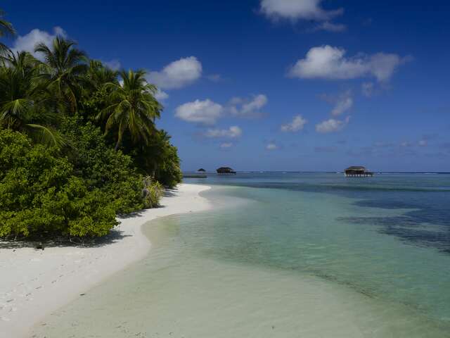 фотографии Medhufushi Island Resort изображение №28
