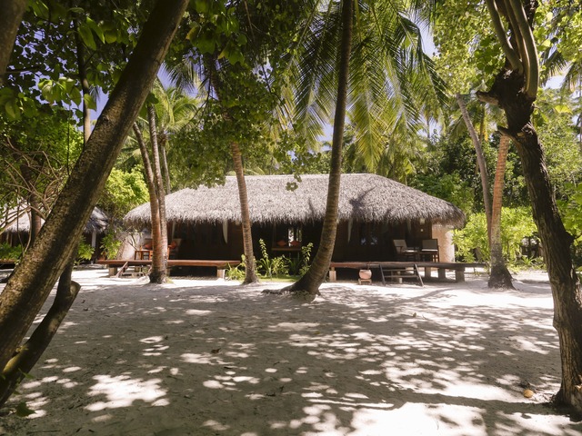 фотографии отеля Medhufushi Island Resort изображение №11
