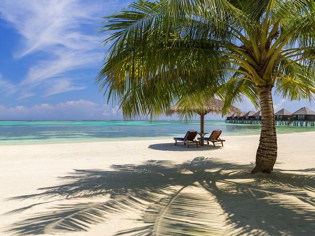 фотографии Sun Siyam Olhuveli (ex. Olhuveli Beach & Spa Resort) изображение №32