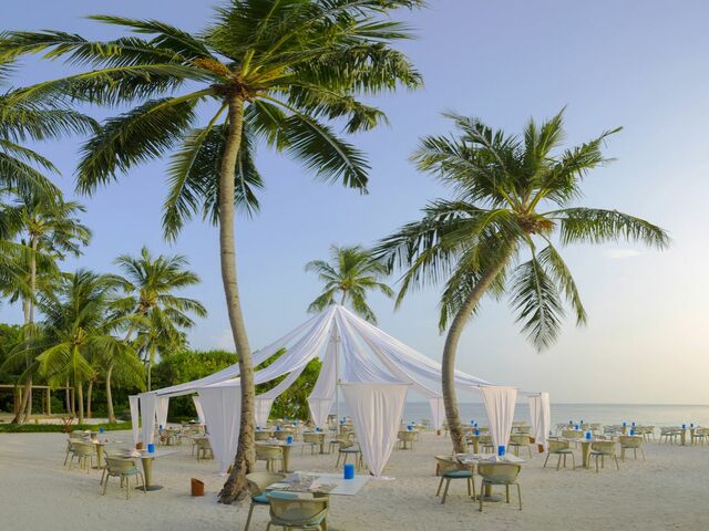 фотографии отеля Dusit Thani Maldives изображение №15