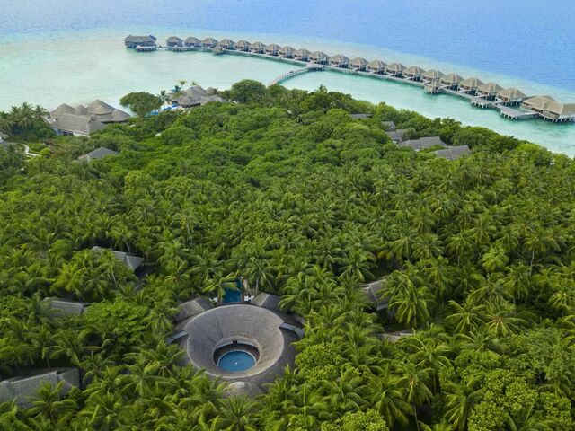 фото Dusit Thani Maldives изображение №10