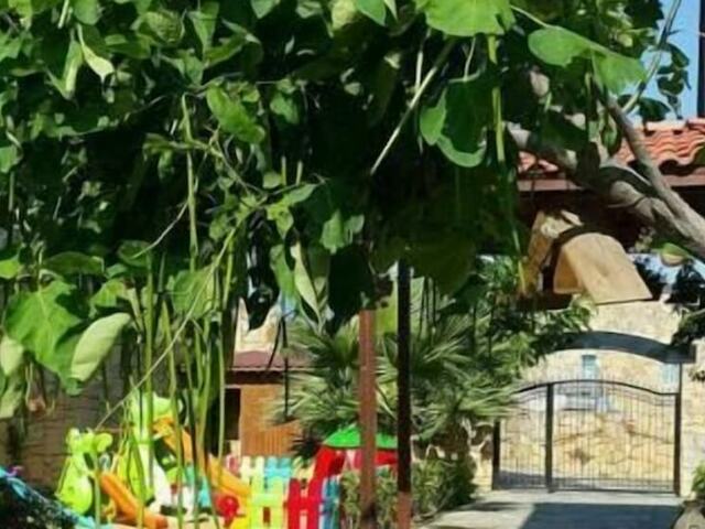 фото Daidalos изображение №10