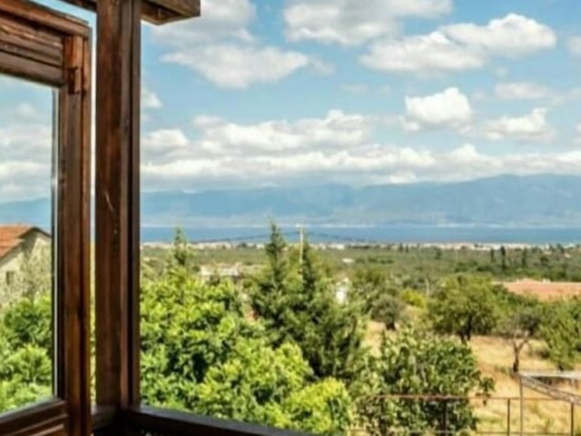 фотографии Daidalos изображение №4