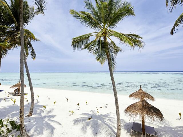 фотографии отеля Riu Atoll изображение №3