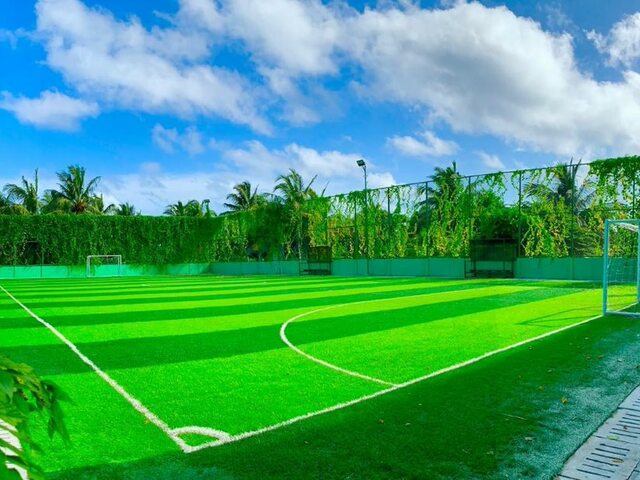 фото отеля Heritance Aarah изображение №89