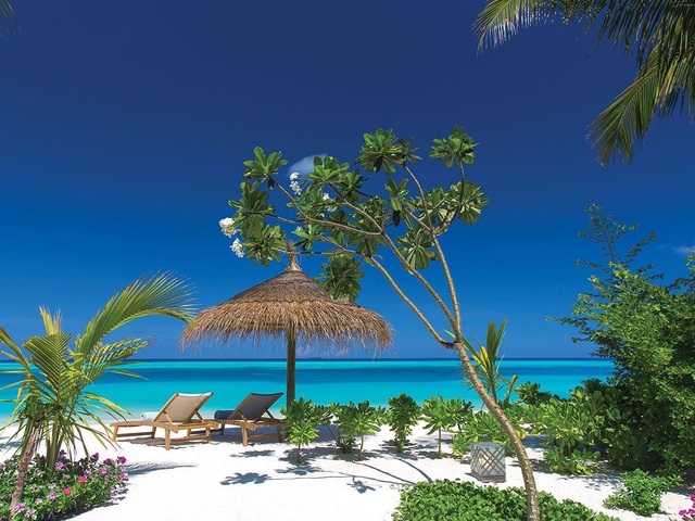 фотографии отеля Ozen Life Maadhoo (ex. Ozen By Atmosphere at Maadhoo) изображение №31