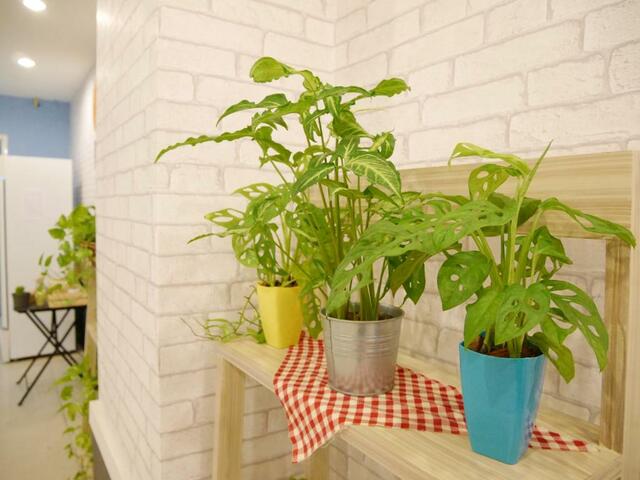 фотографии отеля Sleep At Phuket (ех. Crystal Guest House) изображение №15