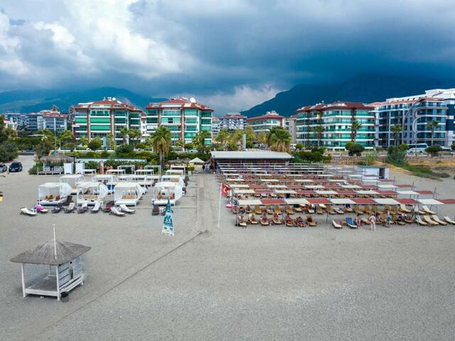 фотографии отеля Michell  изображение №43