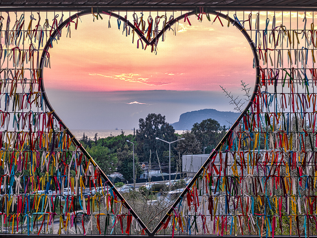 фотографии отеля Michell  изображение №19