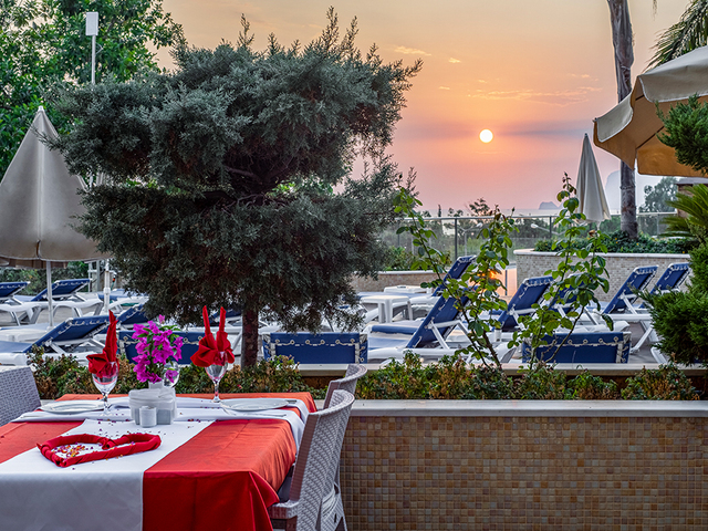 фотографии Michell  изображение №12