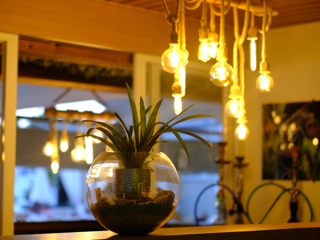 фото отеля Bora Bora Butik изображение №9