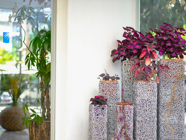 фотографии отеля Bora Bora Butik изображение №7