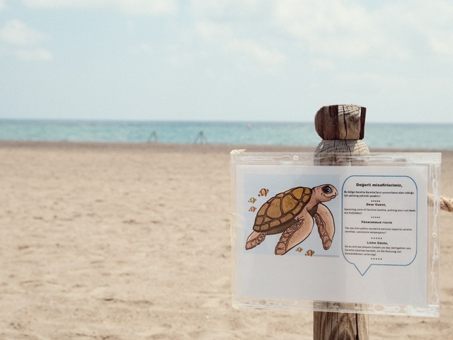 фотографии Crystal Paraiso Verde Resort & Spa изображение №20