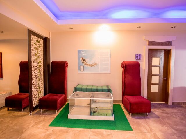 фото отеля Viking Garden Hotel & Spa (ex. Garden Resort Bergamot; Garden Resort) изображение №53