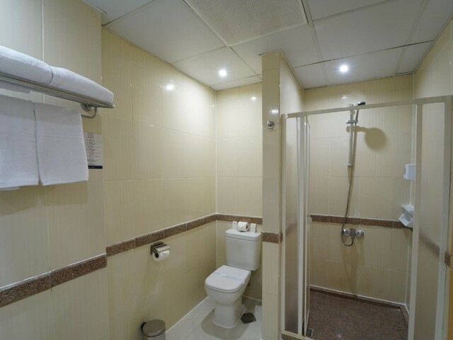 фотографии Regina Resort & Aqua Park (ex. ZYA Regina Resort & Aqua park, Regina Swiss Inn Resort) изображение №52