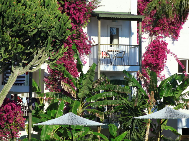 фото отеля Parkim Ayaz изображение №13