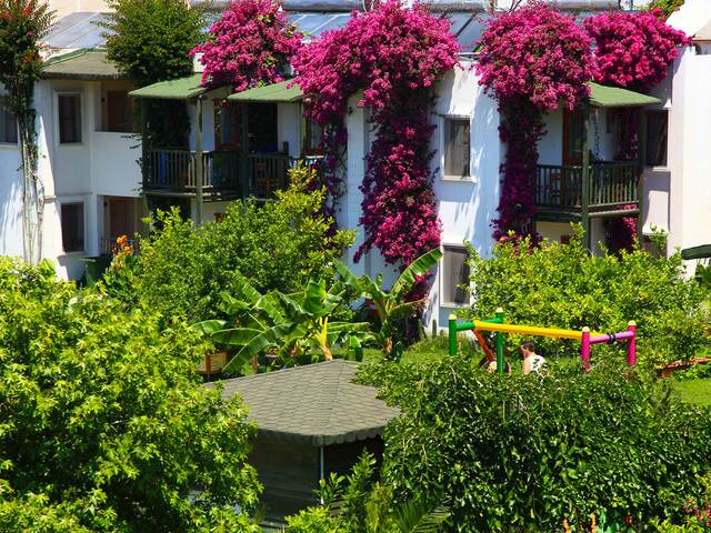 фото Parkim Ayaz изображение №10