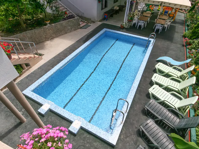 Виолетта (Violetta)