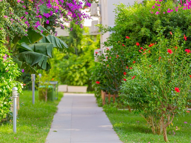 фото Justiniano Club Alanya изображение №30