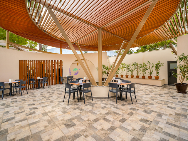 фотографии Gravel Hotels Select (ex. Seven Seas Gravel Select; Alkoclar Exclusive Kemer) изображение №24